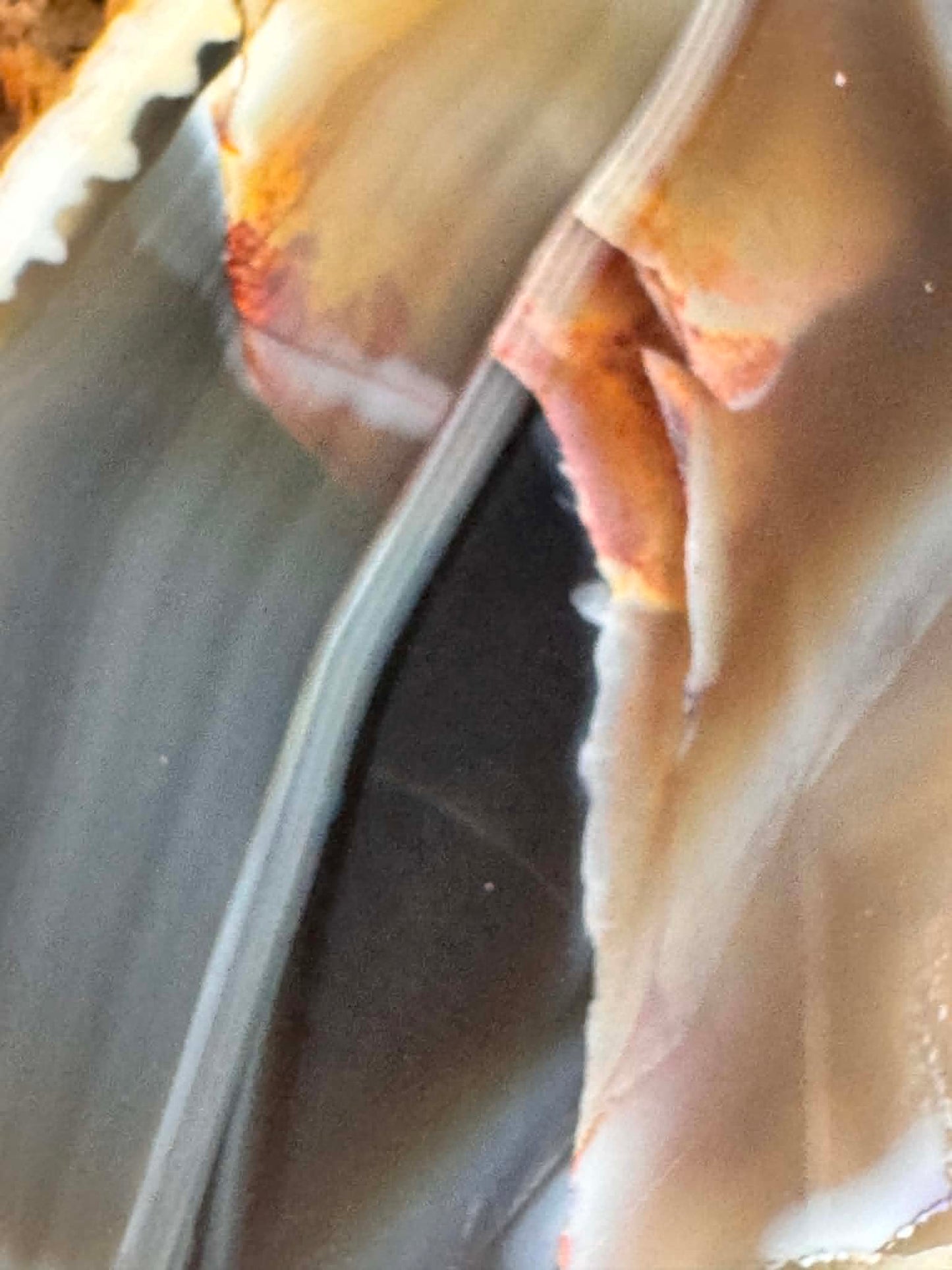 Indonesian banded Agate half nodule polished