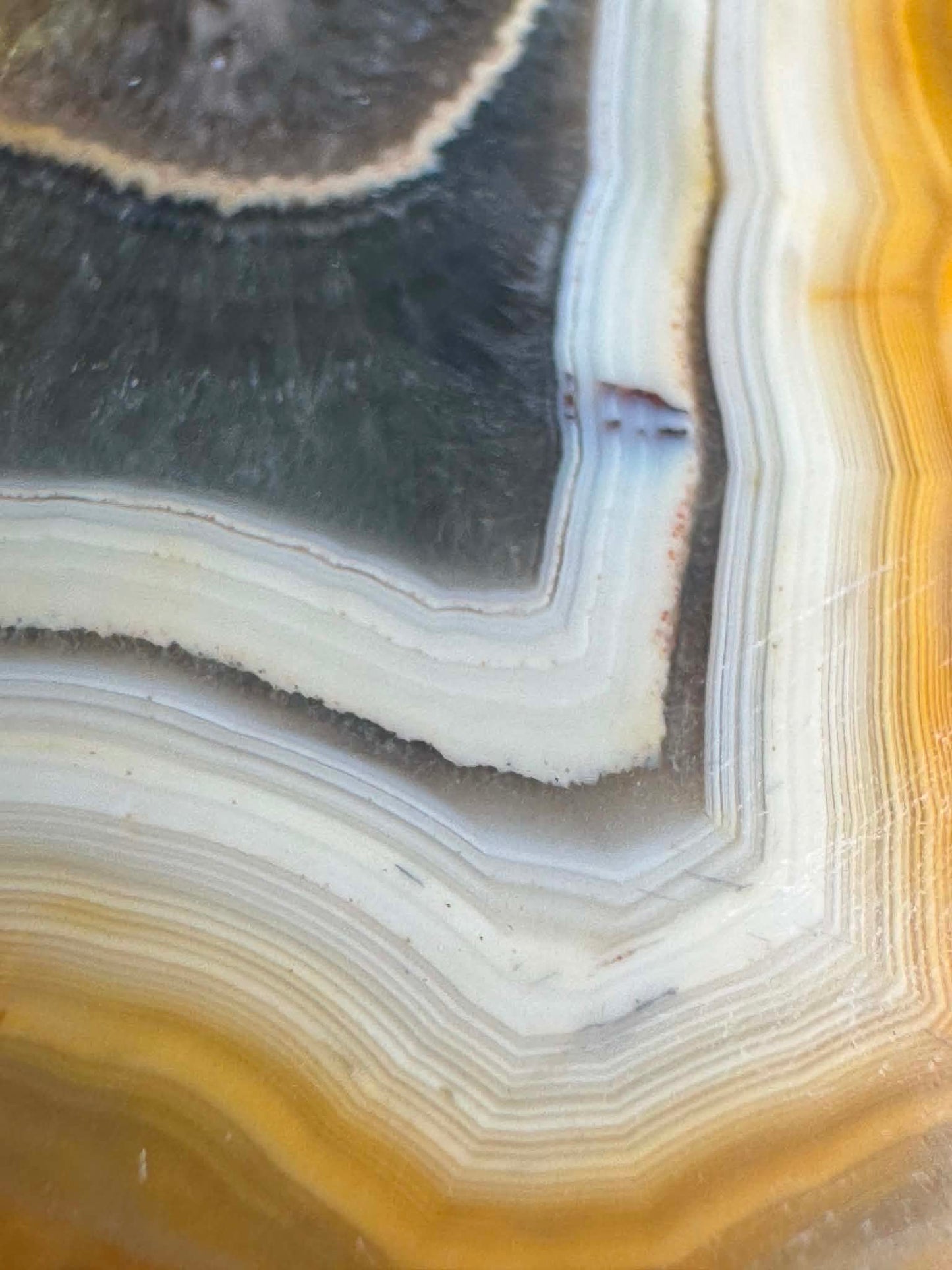 Indonesian banded Agate nodule polished