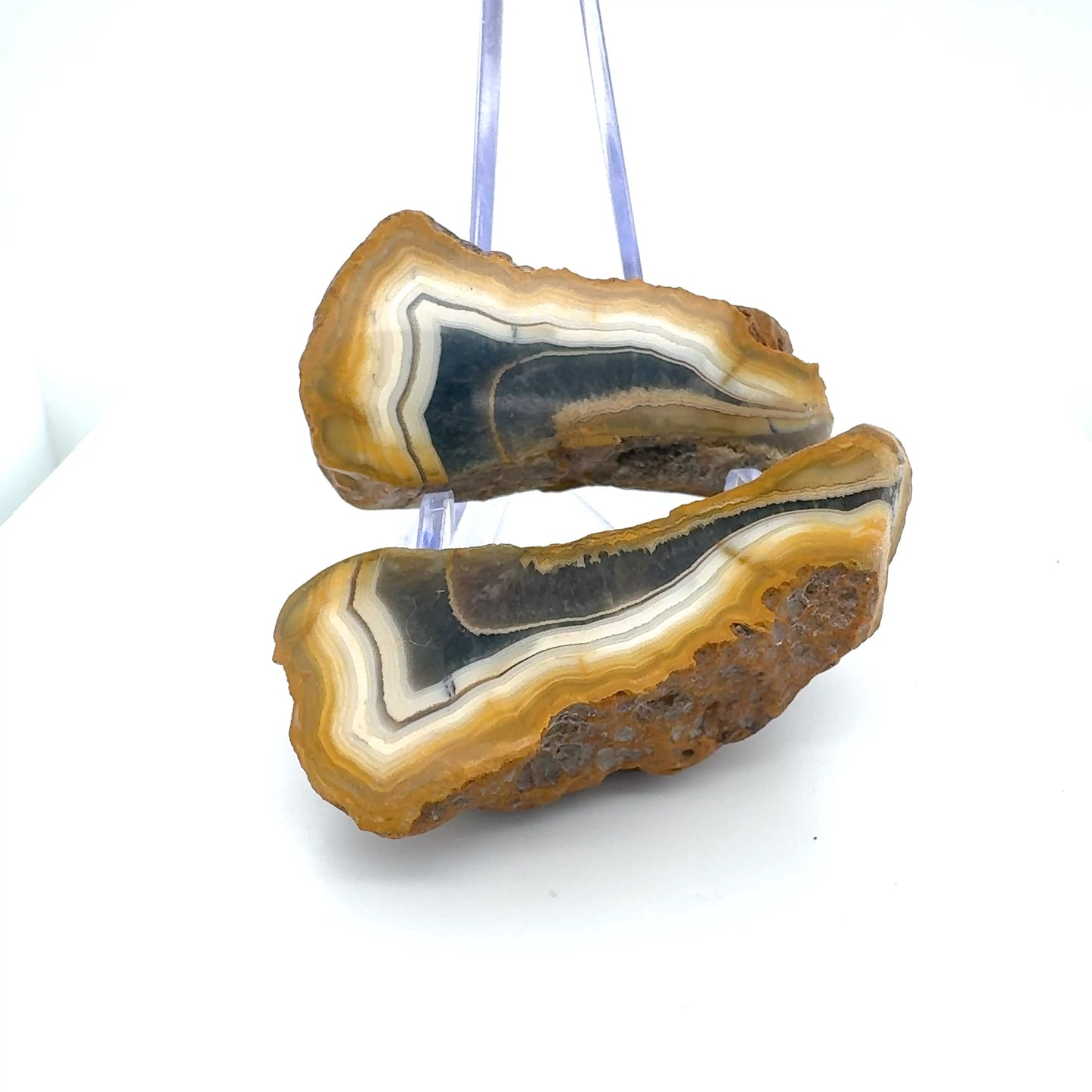 Indonesian banded Agate nodule polished