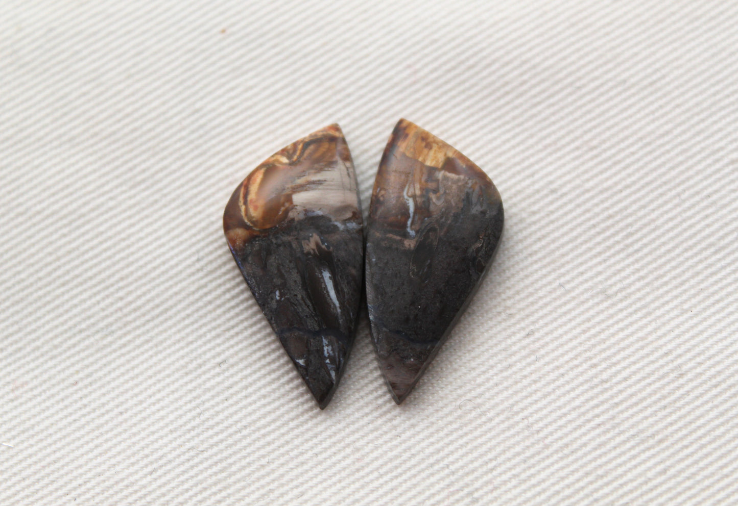 Small Petrified Palm Wood Cabochon Pair
