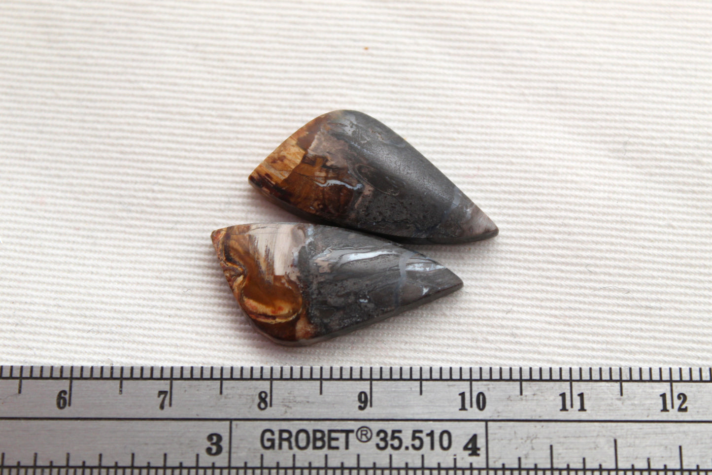 Small Petrified Palm Wood Cabochon Pair