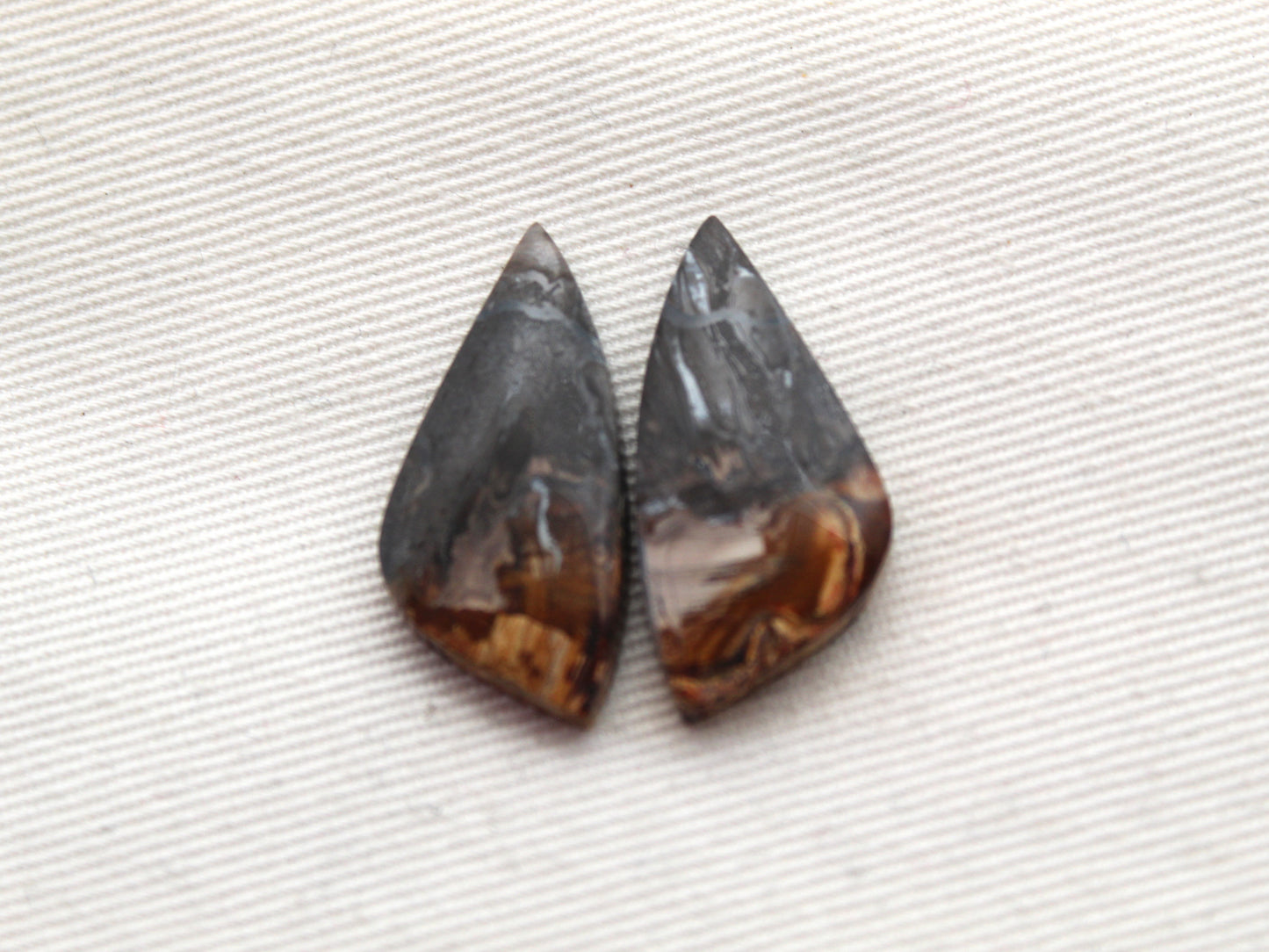 Small Petrified Palm Wood Cabochon Pair