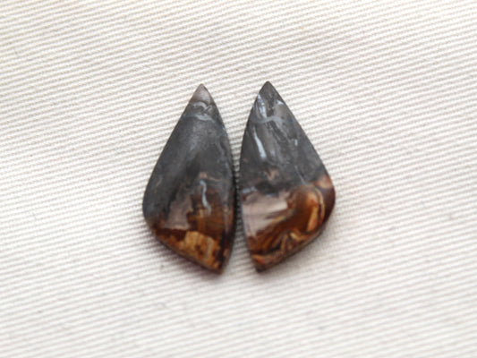 Small Petrified Palm Wood Cabochon Pair