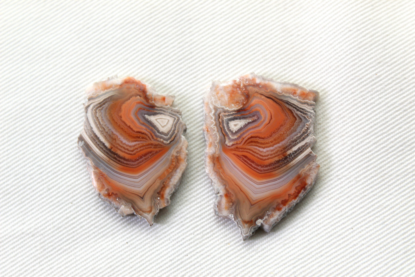 Sliced Agate Pair Gemstones freeform natural