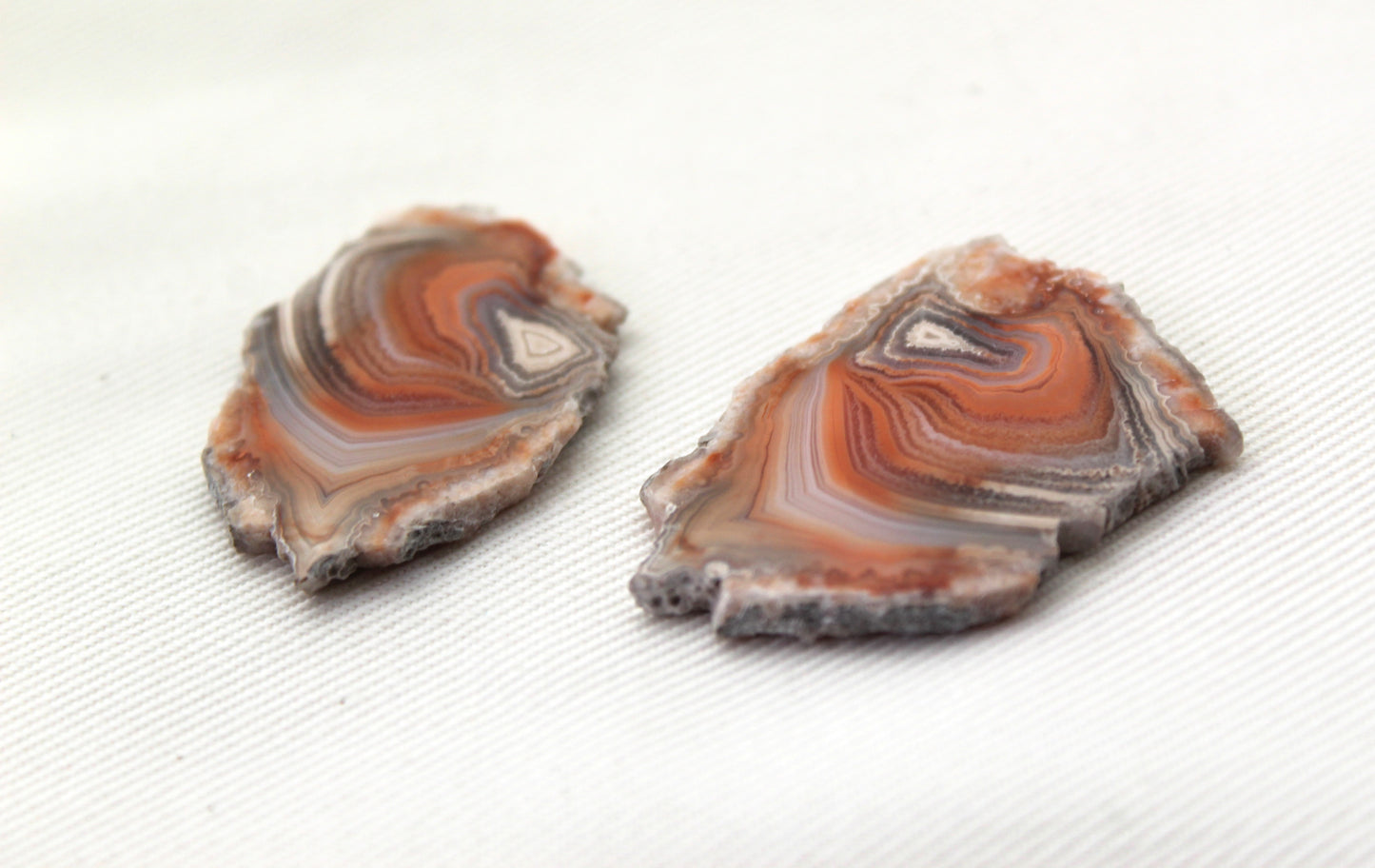 Sliced Agate Pair Gemstones freeform natural