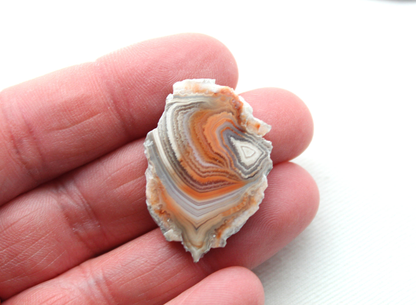 Sliced Agate Pair Gemstones freeform natural