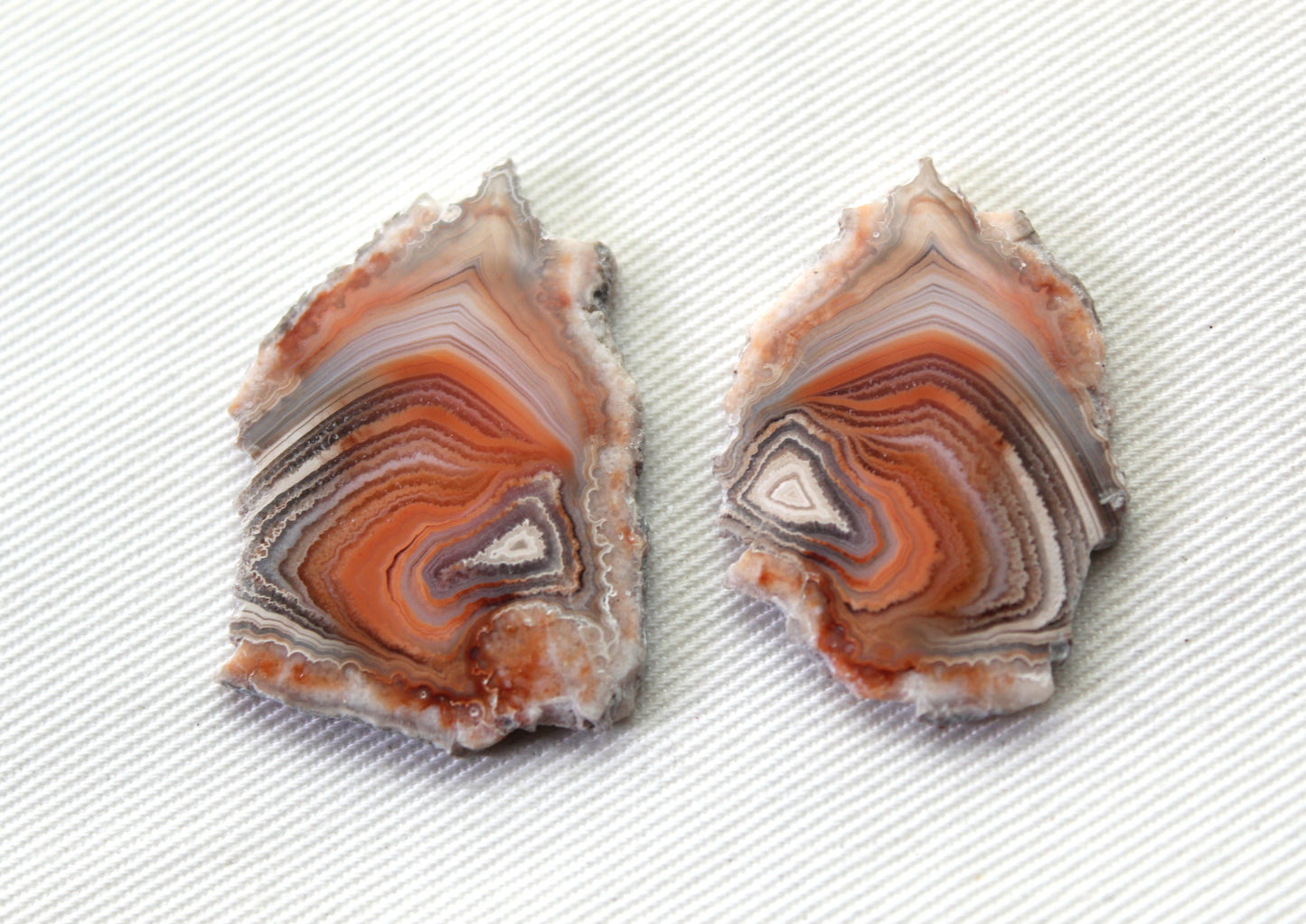 Sliced Agate Pair Gemstones freeform natural