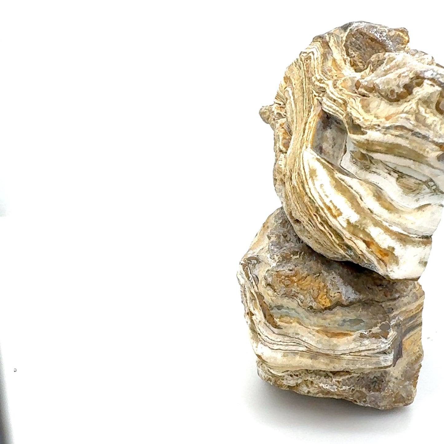 Indonesian Agate nodule polished Parallax Banding