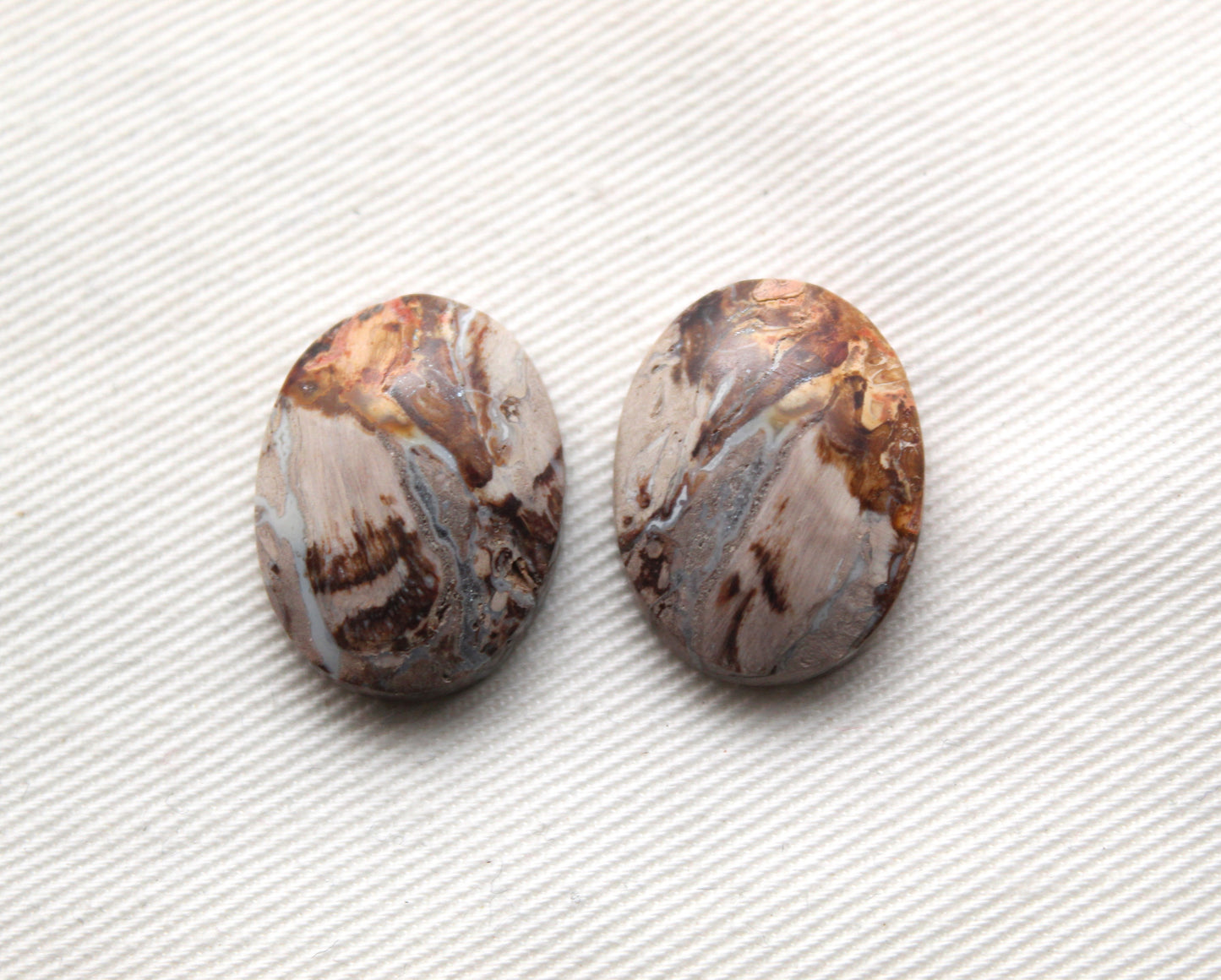 Small Petrified Palm Wood Cabochon Pair oval