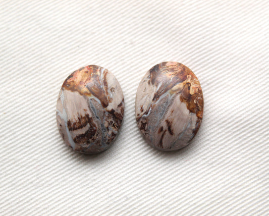 Small Petrified Palm Wood Cabochon Pair oval