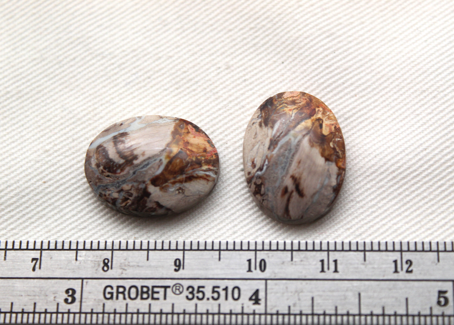 Small Petrified Palm Wood Cabochon Pair oval