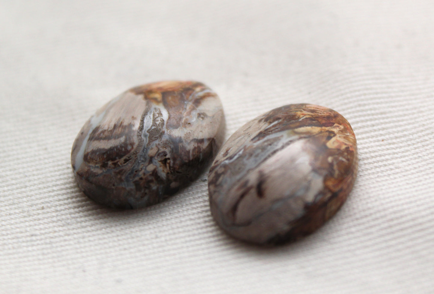 Small Petrified Palm Wood Cabochon Pair oval