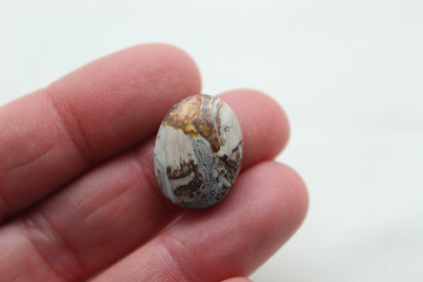 Small Petrified Palm Wood Cabochon Pair oval