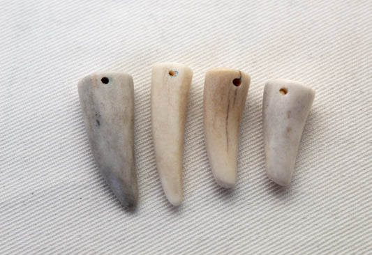 FOUR small deer antlers tips DRILLED naturally shed