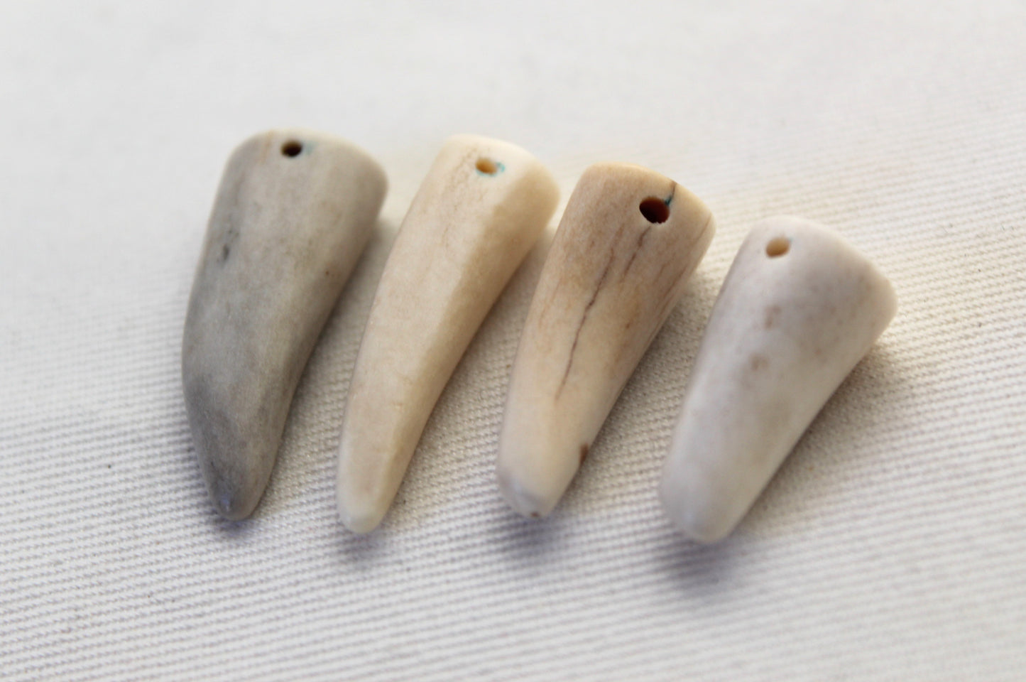 FOUR small deer antlers tips DRILLED naturally shed
