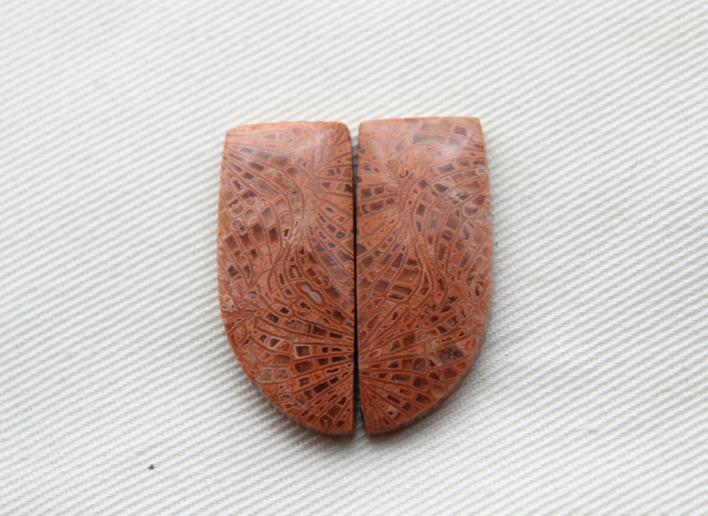 Pink Fossil Coral Pair of Gemstones cabochon freeform