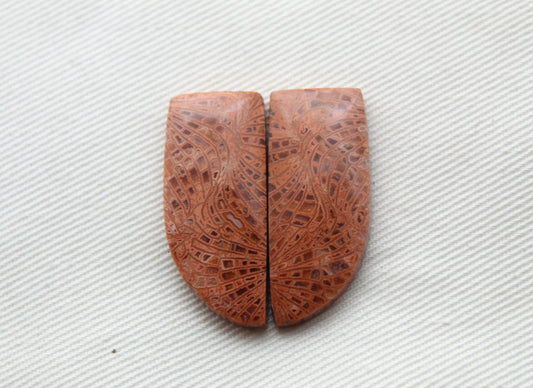 Pink Fossil Coral Pair of Gemstones cabochon freeform