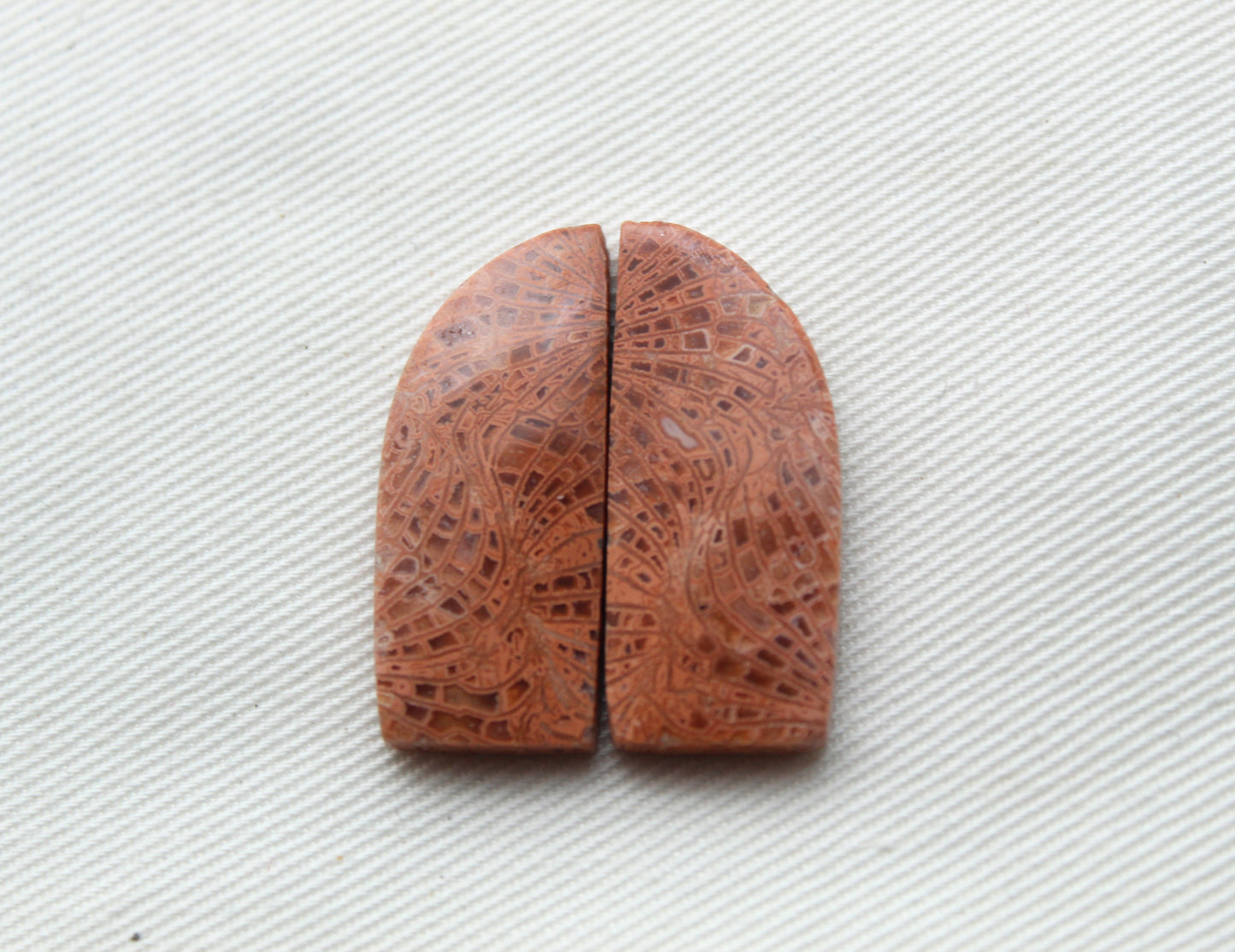 Pink Fossil Coral Pair of Gemstones cabochon freeform