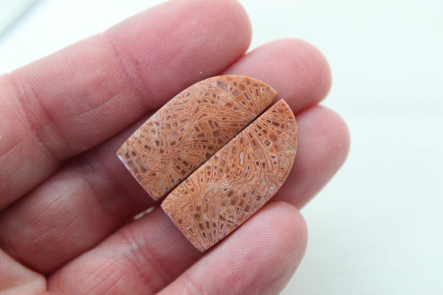 Pink Fossil Coral Pair of Gemstones cabochon freeform