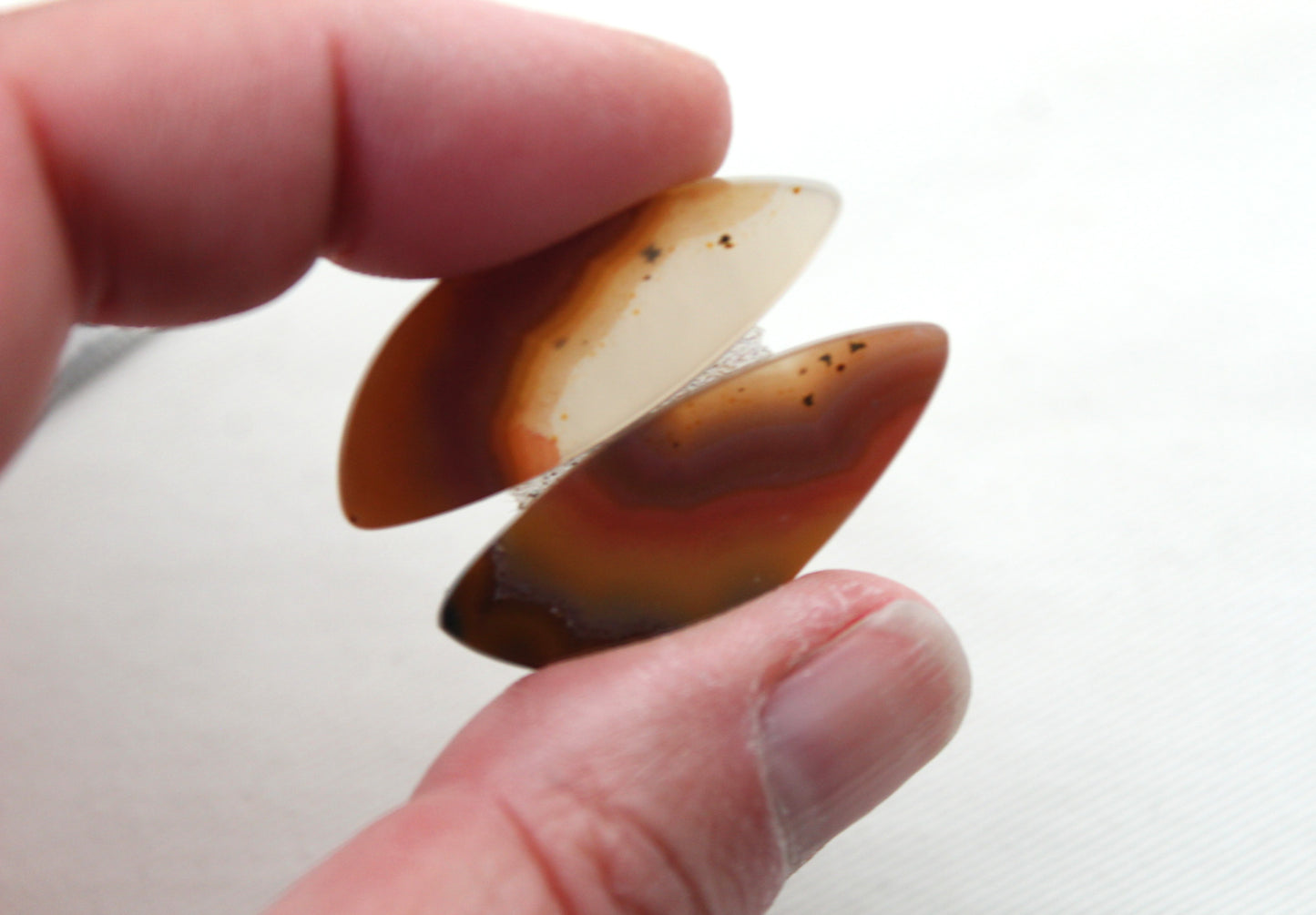 Brazilian Agate Cabochon Pair Transludent Gemstone