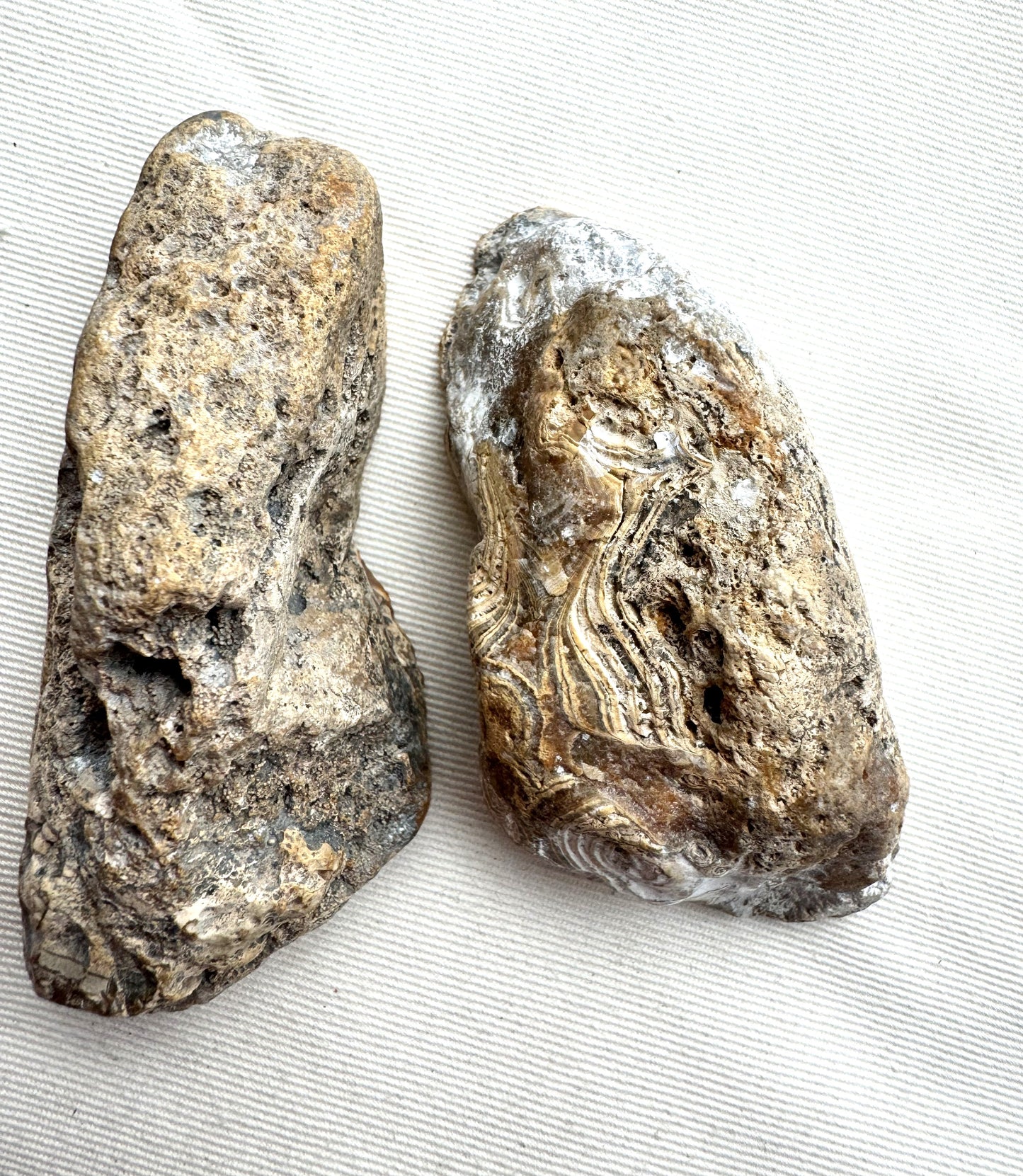Indonesian Banded Agate nodule polished