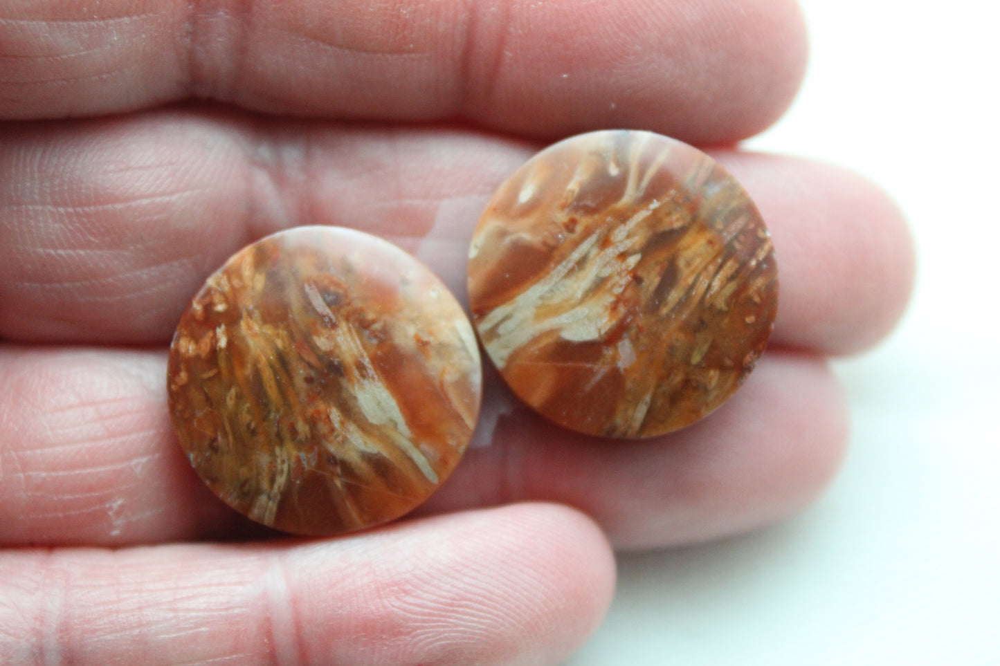 NICE Pair of Petrified Wood Cabochons pink round 20MM