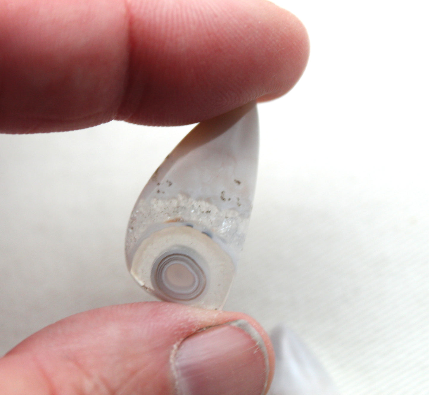 Orbicular Agate Cabochons Pair Gemstone natural