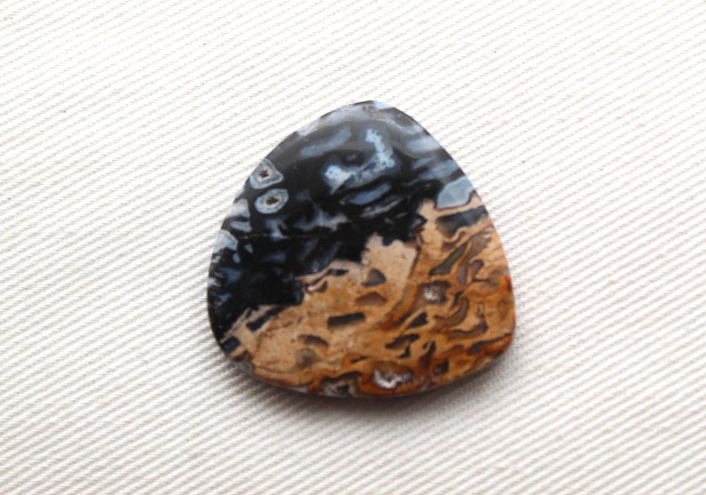 Fossil Palm Root Cabochon Gemstone black and beige