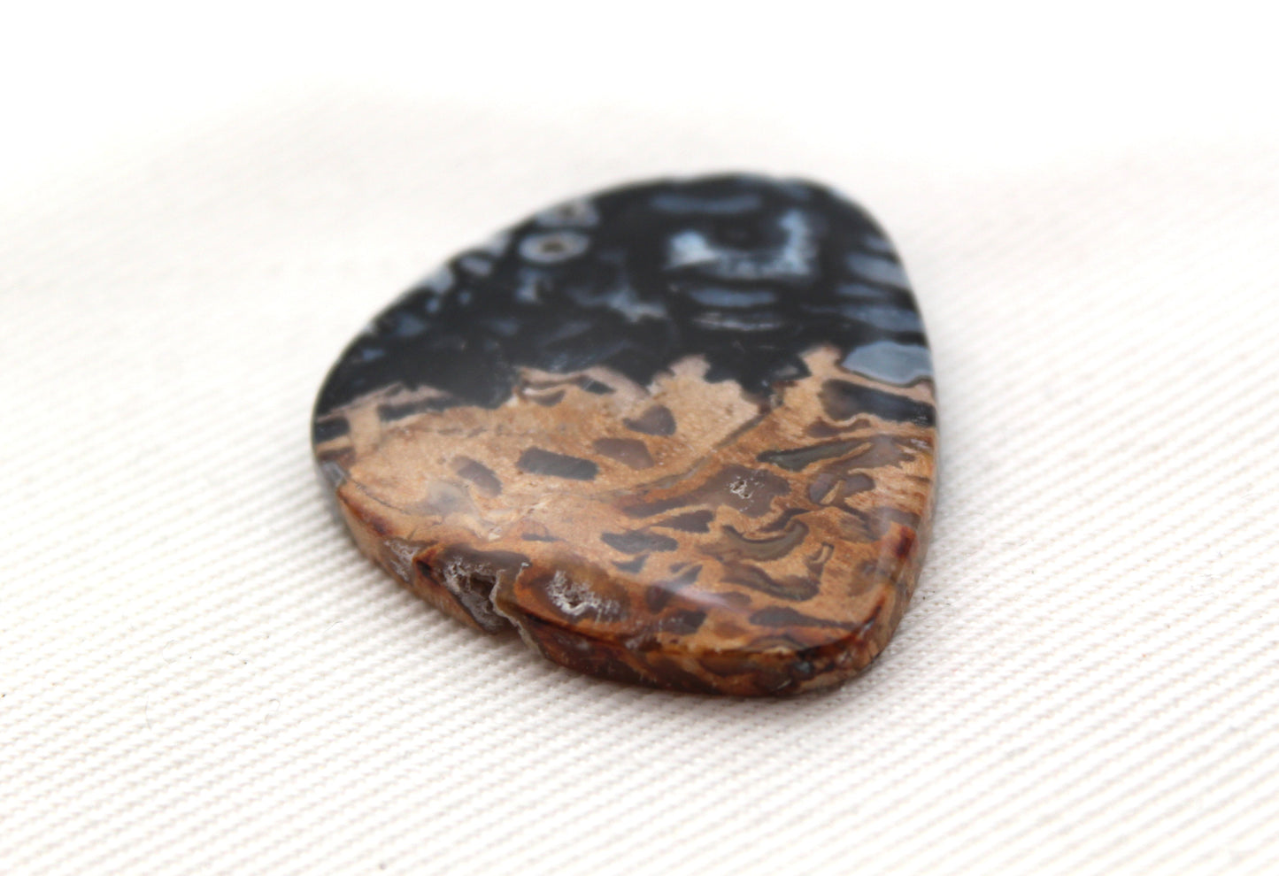 Fossil Palm Root Cabochon Gemstone black and beige