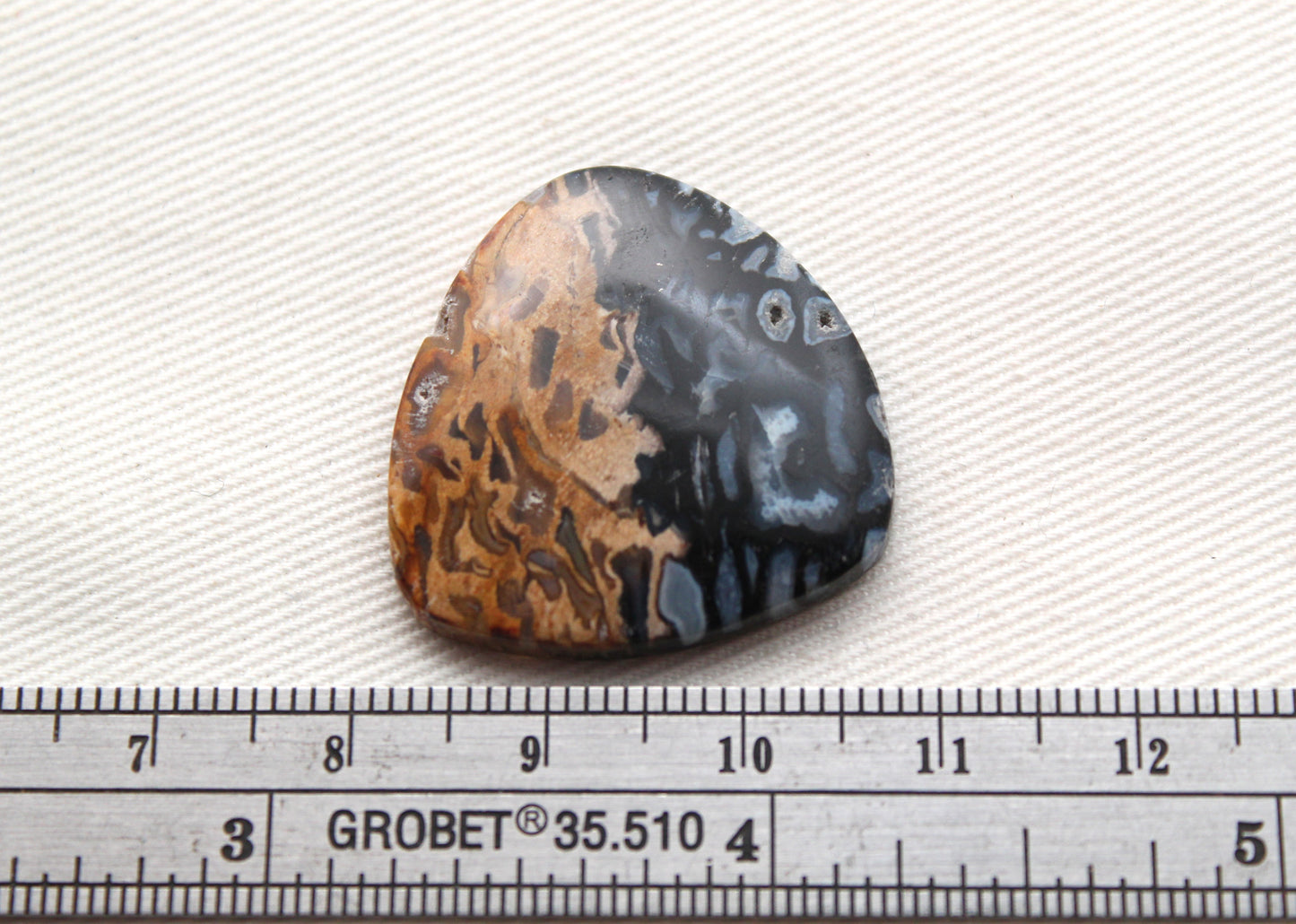 Fossil Palm Root Cabochon Gemstone black and beige
