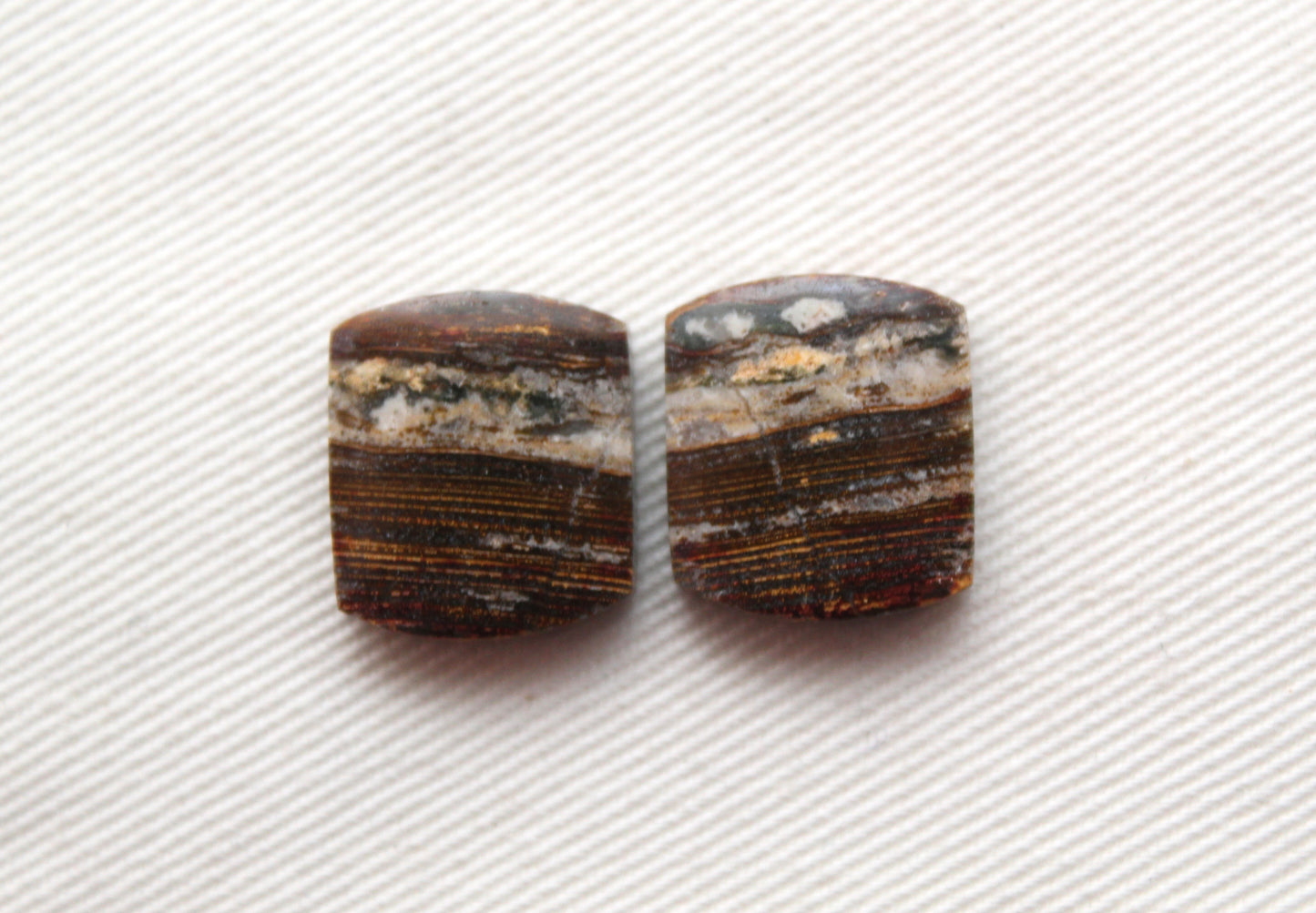 Small Petrified Wood Cabochon Pair natural gemstones