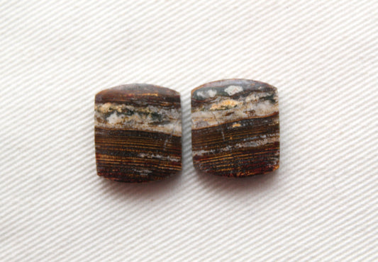Small Petrified Wood Cabochon Pair natural gemstones