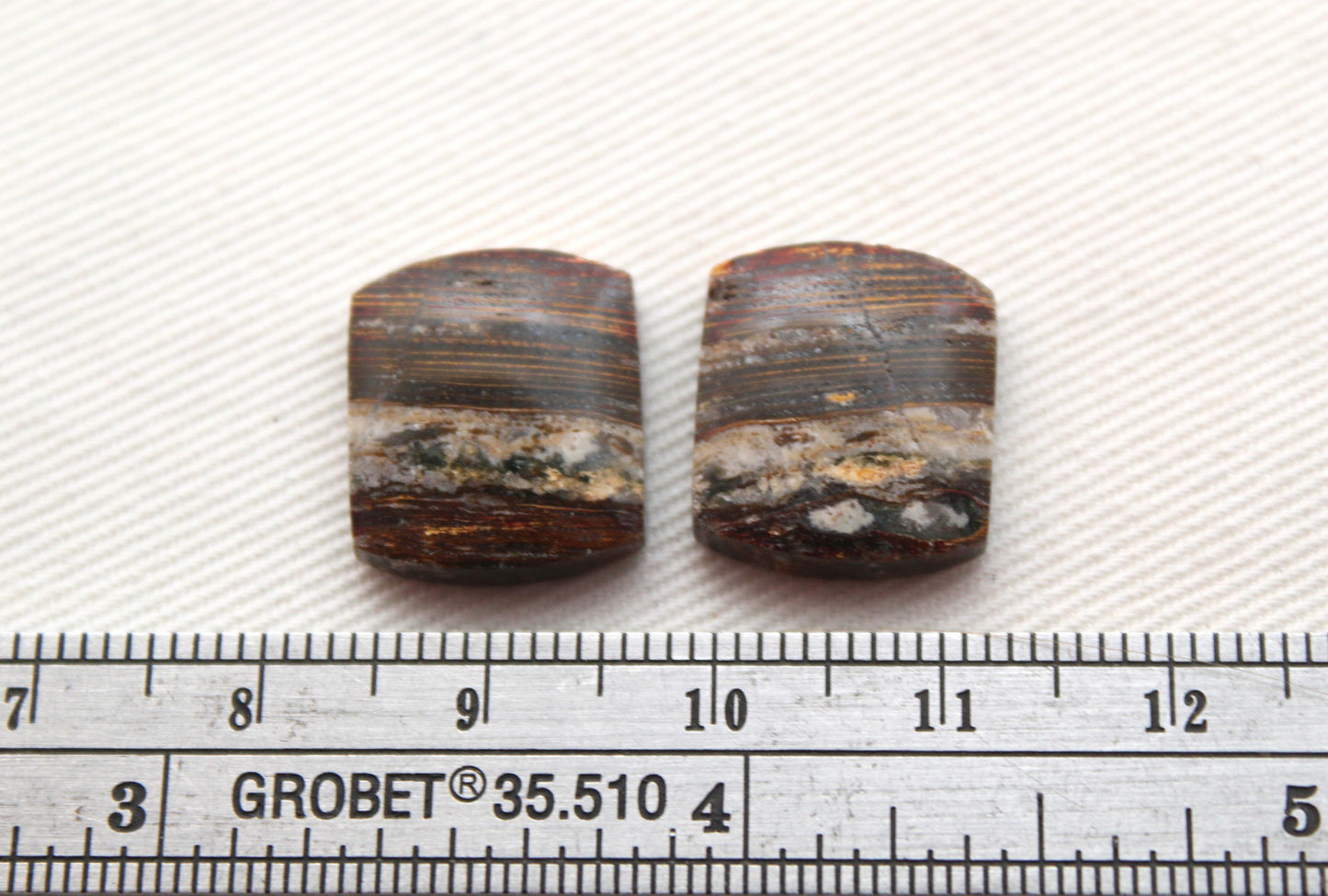 Small Petrified Wood Cabochon Pair natural gemstones
