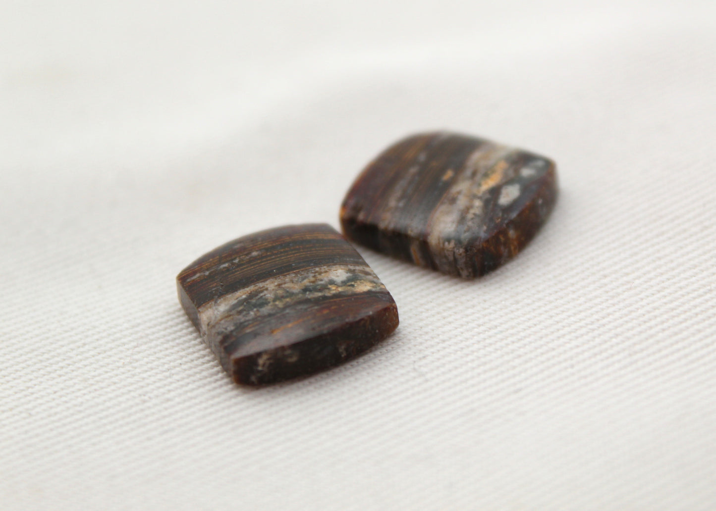 Small Petrified Wood Cabochon Pair natural gemstones