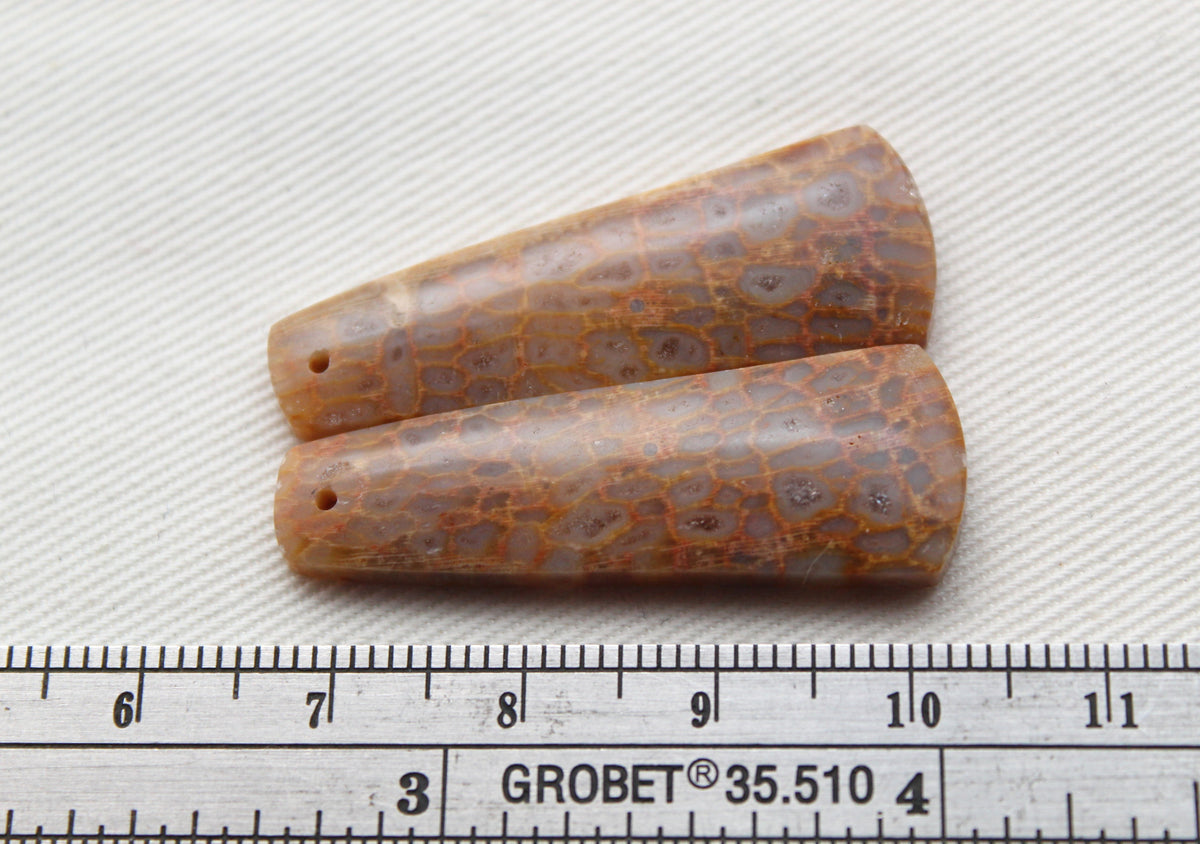 Beige Fossil coral thin pair cabochons DRILLED