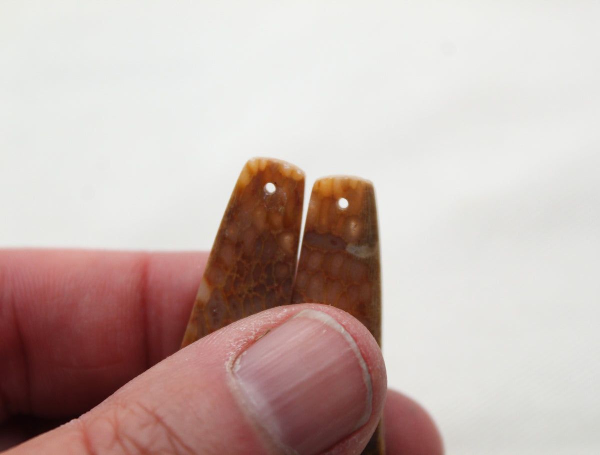 Beige Fossil coral thin pair cabochons DRILLED