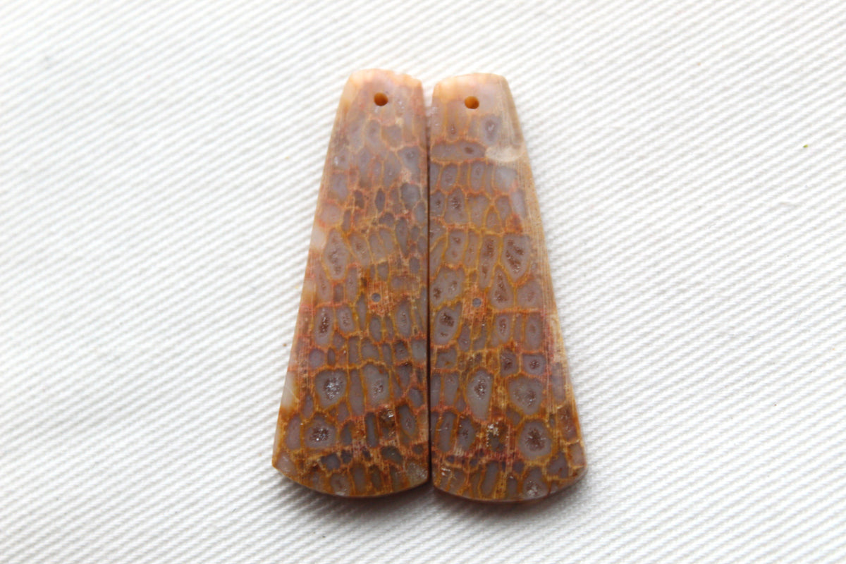 Beige Fossil coral thin pair cabochons DRILLED