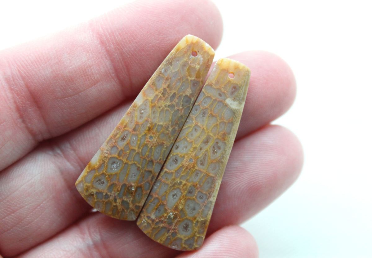 Beige Fossil coral thin pair cabochons DRILLED