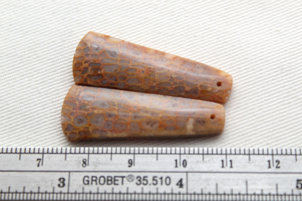 Beige Fossil coral thin pair cabochons DRILLED