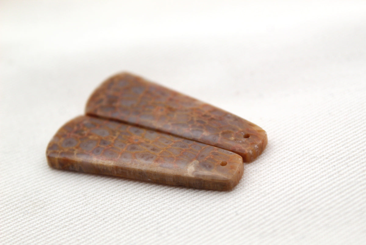 Beige Fossil coral thin pair cabochons DRILLED