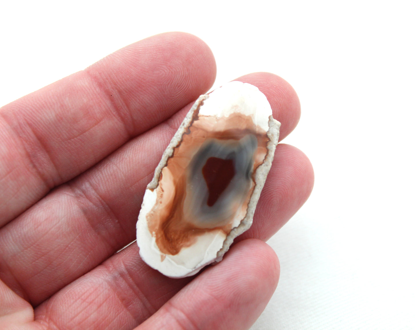 Sliced Agate Pair Gemstones freeform natural
