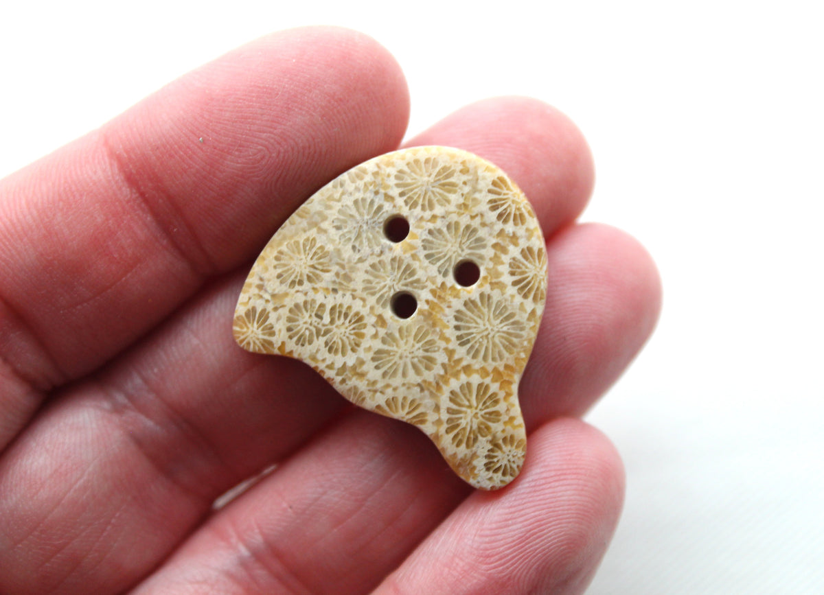 Fossilized Coral Gemstone cabochon Ghost