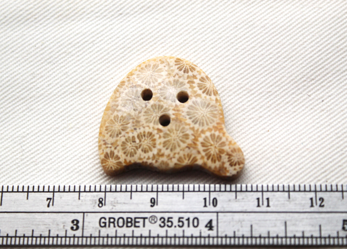 Fossilized Coral Gemstone cabochon Ghost