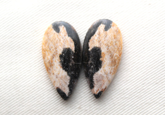 Nice pair of Petrified Wood Cabochons teardrop
