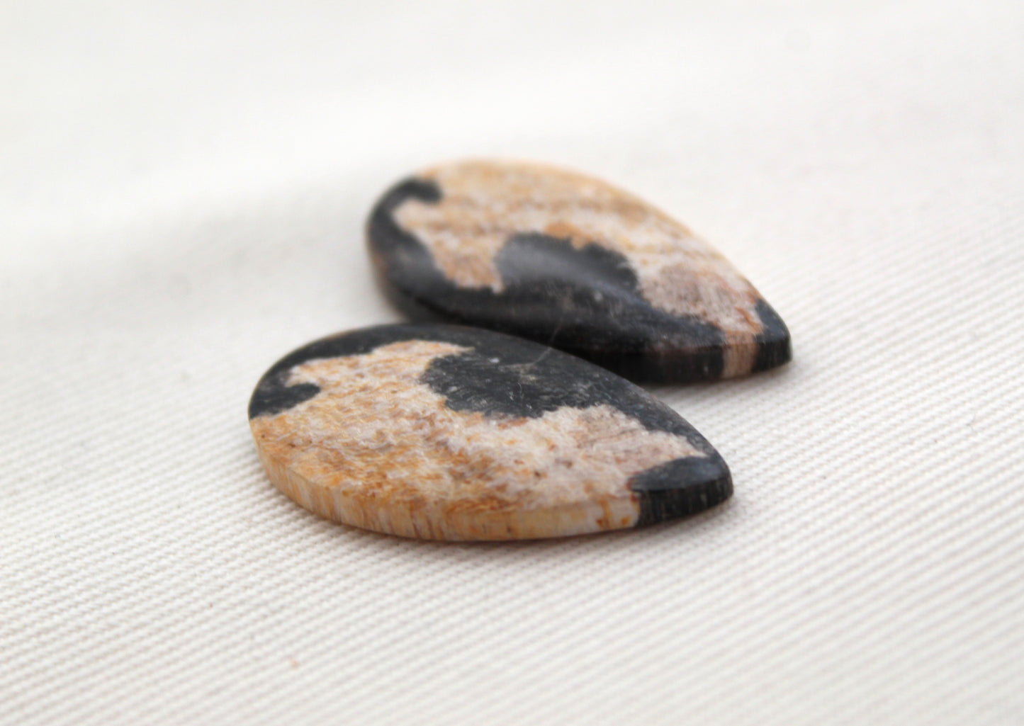 Nice pair of Petrified Wood Cabochons teardrop