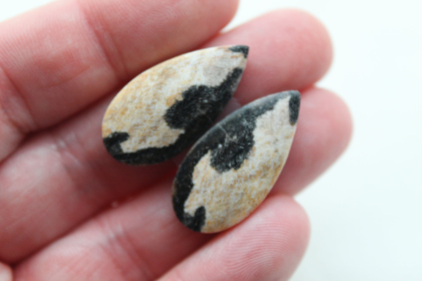 Nice pair of Petrified Wood Cabochons teardrop