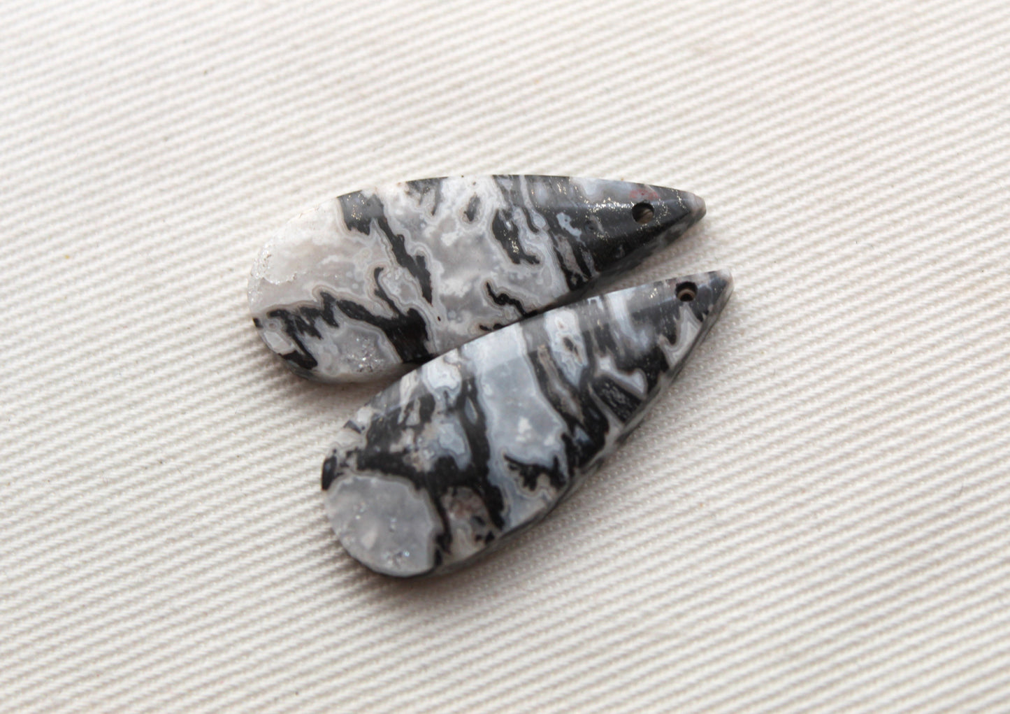 Corail Fossilisé Paire de pierres gemmes cabochon gris beige naturel