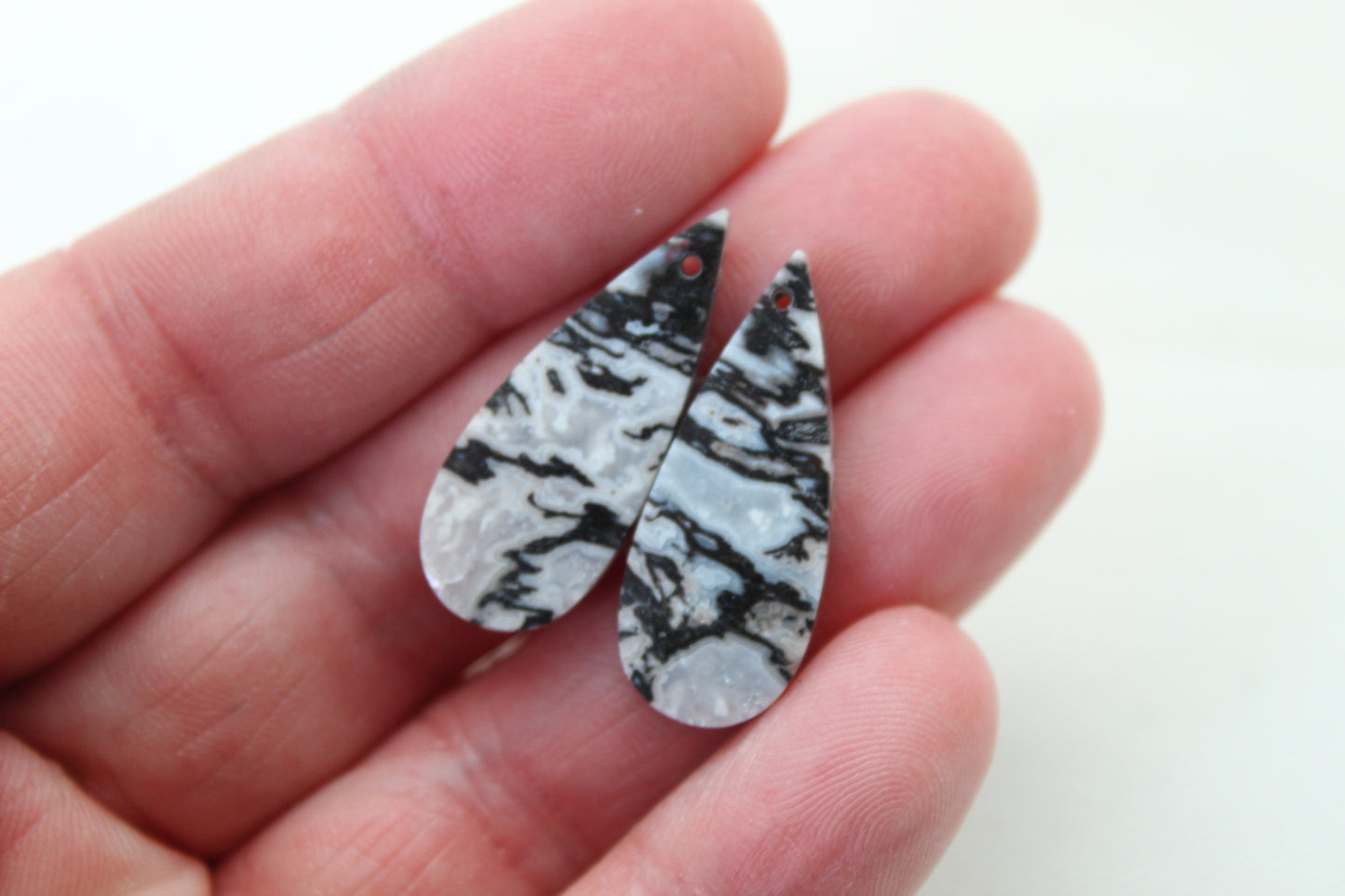 Corail Fossilisé Paire de pierres gemmes cabochon gris beige naturel