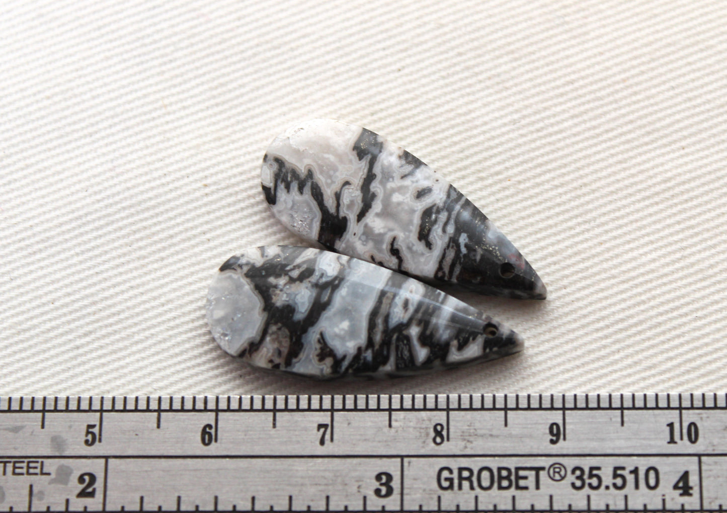 Corail Fossilisé Paire de pierres gemmes cabochon gris beige naturel