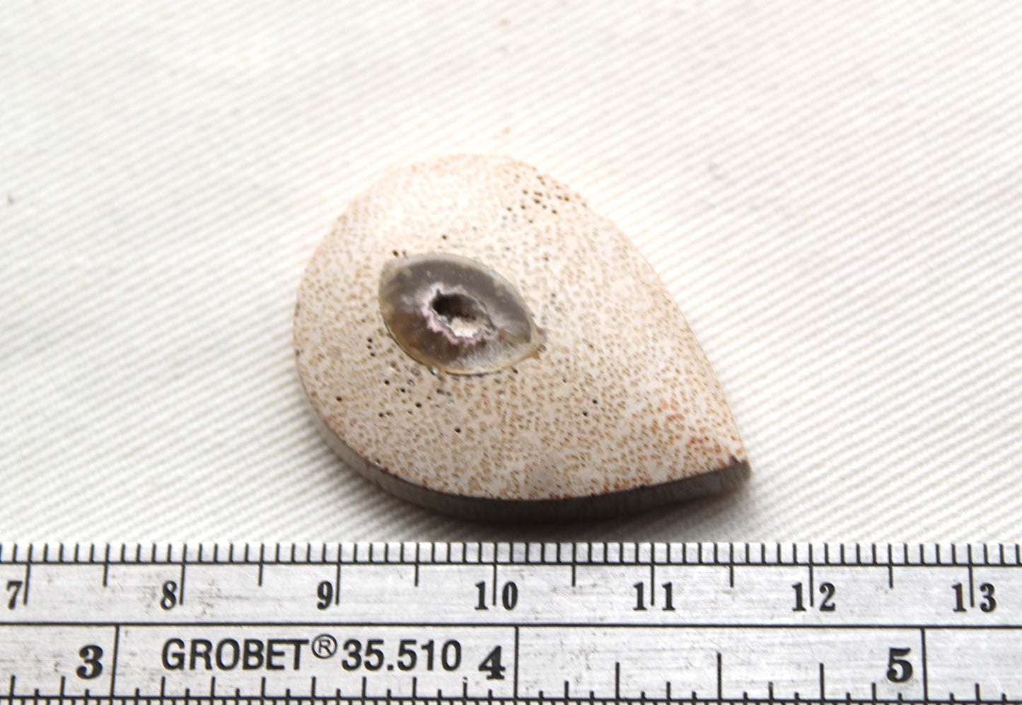 Worm Hole Petrified Wood Cabochon gemstone natural